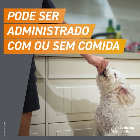 Frontpro pode ser administrado com ou sem comida